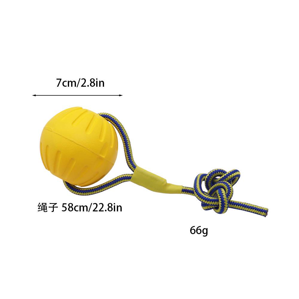 DtopbuyAge - Jouet Swing N Fling pour Chien - DtopbuyAge - Image 2
