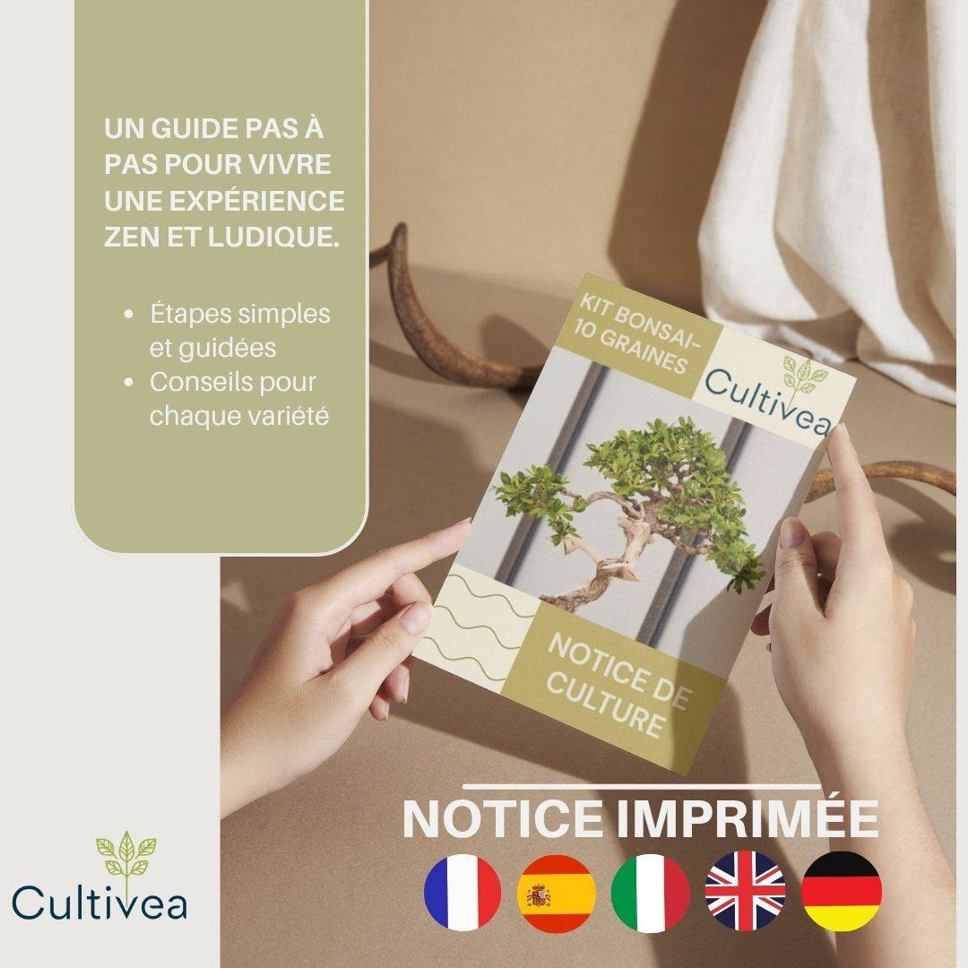 Cultivea - Kit 10 Bonsaïs à faire pousser avec accessoires | Idée Cadeau Noël - Image 4