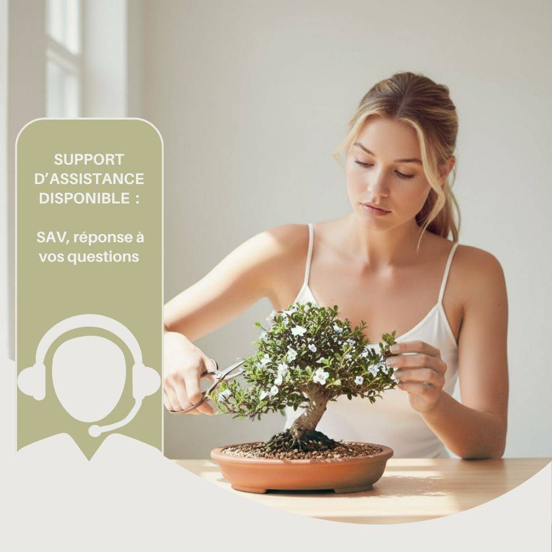 Cultivea - Kit 10 Bonsaïs à faire pousser avec accessoires | Idée Cadeau Noël - Image 5