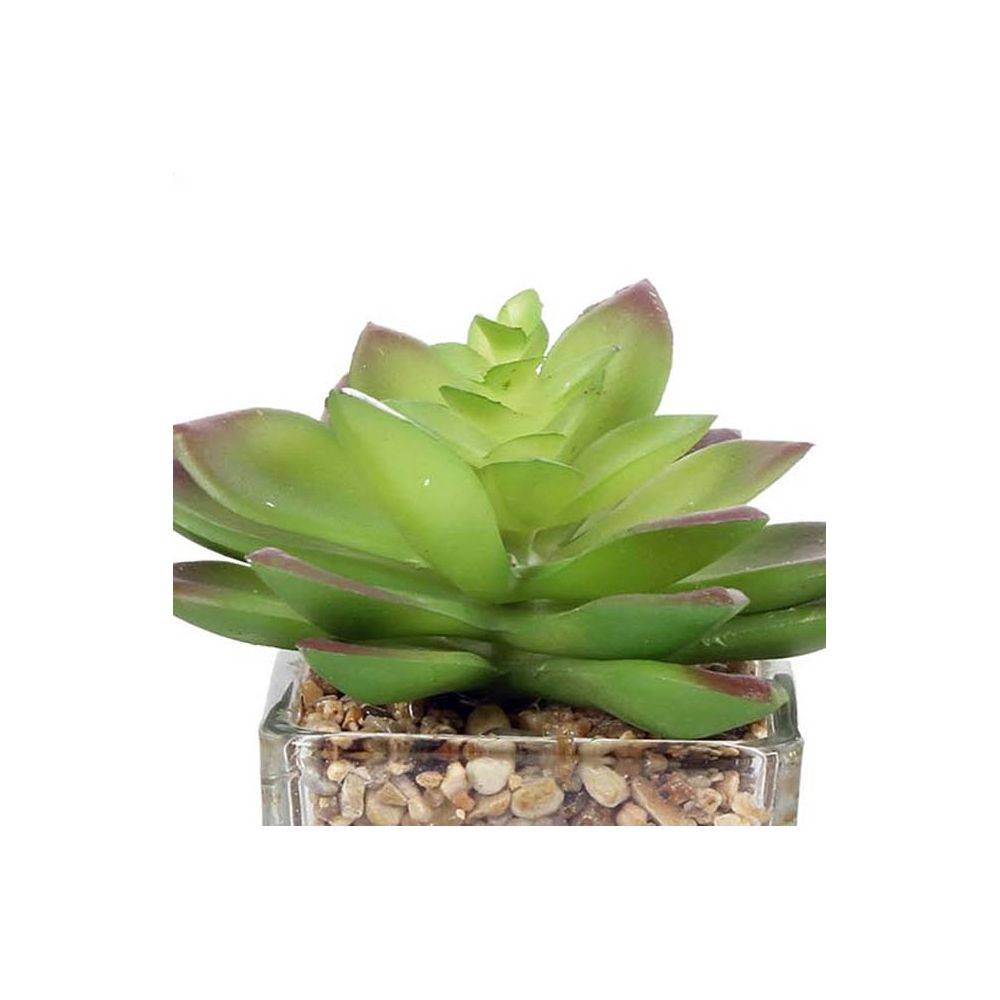 Sil - Plantes artificielles dans pot en verre 6.5 x 6.5 x 17 cm (Lot de 3) - Image 3
