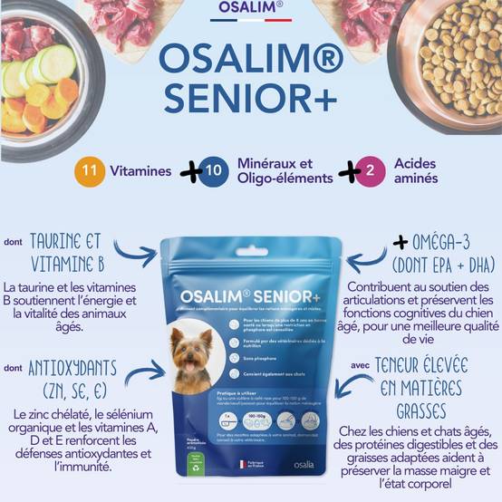 OSALIM® Senior+ Chien - Laboratoire Osalia 400 g - Image 4