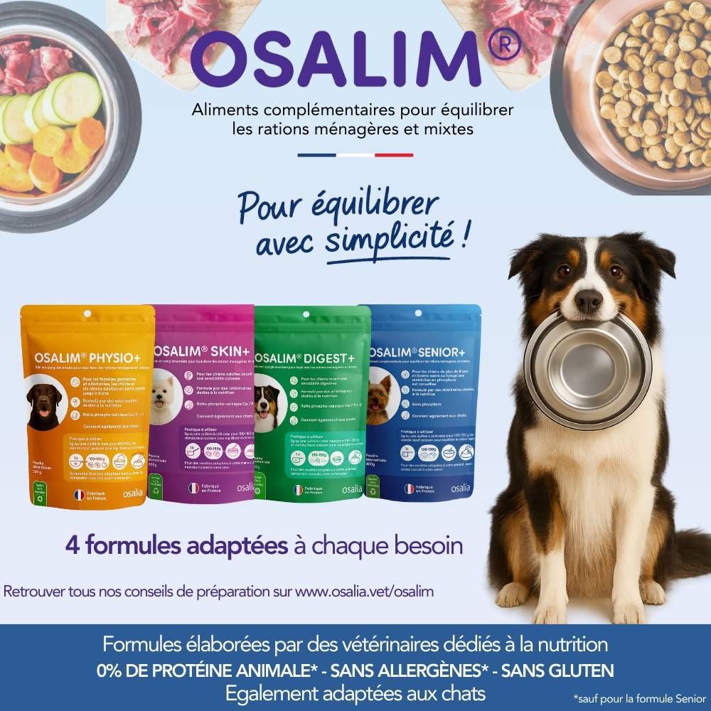 OSALIM® Senior+ Chien - Laboratoire Osalia 400 g - Image 6