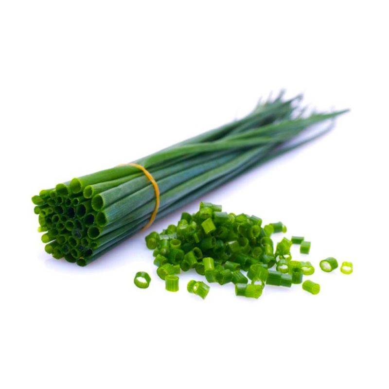 Ciboulette (Allium Schoenoprasum) - Godet - Taille 10cm - Pépinières Naudet