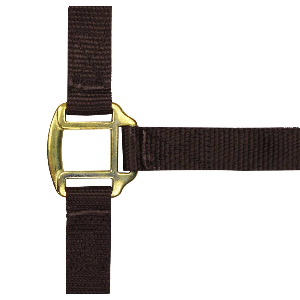 Norton - Licol nylon marron doublé cuir pour pur-sang - Image 1