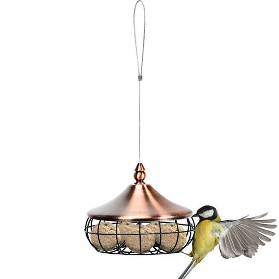 Mangeoire pour Oiseaux Distributeur de Nourriture pour Oiseaux Sauvages à Suspendre en Extérieur pour Boules de Graisse - Image 6