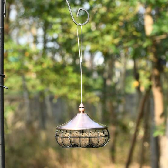 Mangeoire pour Oiseaux Distributeur de Nourriture pour Oiseaux Sauvages à Suspendre en Extérieur pour Boules de Graisse - Image 3