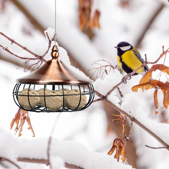 Mangeoire pour Oiseaux Distributeur de Nourriture pour Oiseaux Sauvages à Suspendre en Extérieur pour Boules de Graisse - Image 4