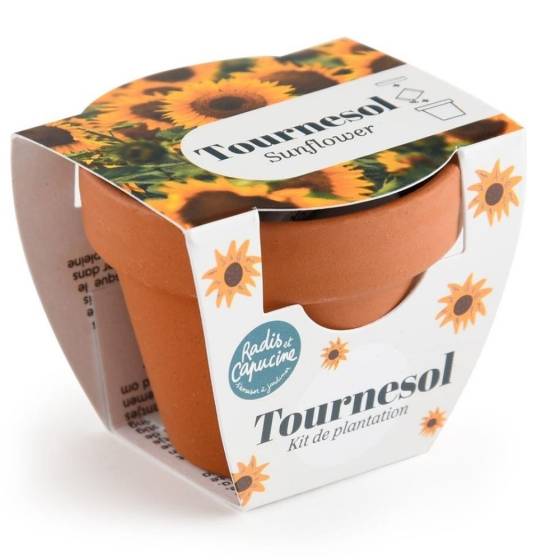Radis et Capucine - Radis et Capucine - Mini kit 6 cm - Tournesol - Image 1