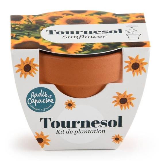 Radis et Capucine - Radis et Capucine - Mini kit 6 cm - Tournesol - Image 4