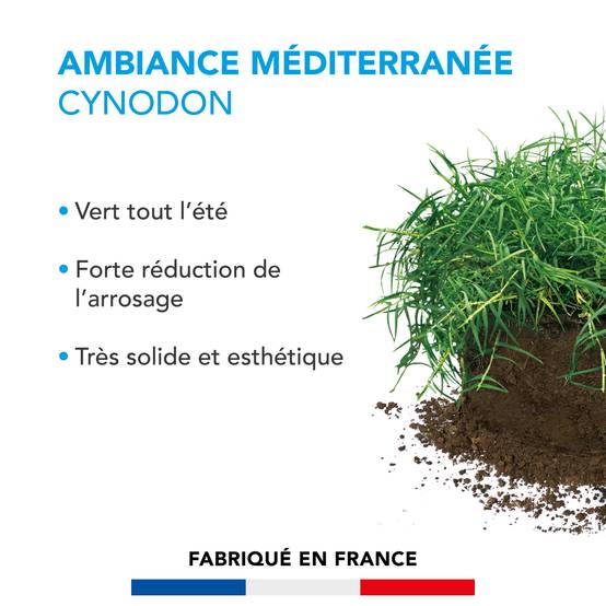 Pelouse Ambiance Méditerranée - Cynodon - Vert Tout l'Été - Forte Réduction de l'Arrosage - Très Solide et Esthétique - 500G - BARENBRUG - Image 2