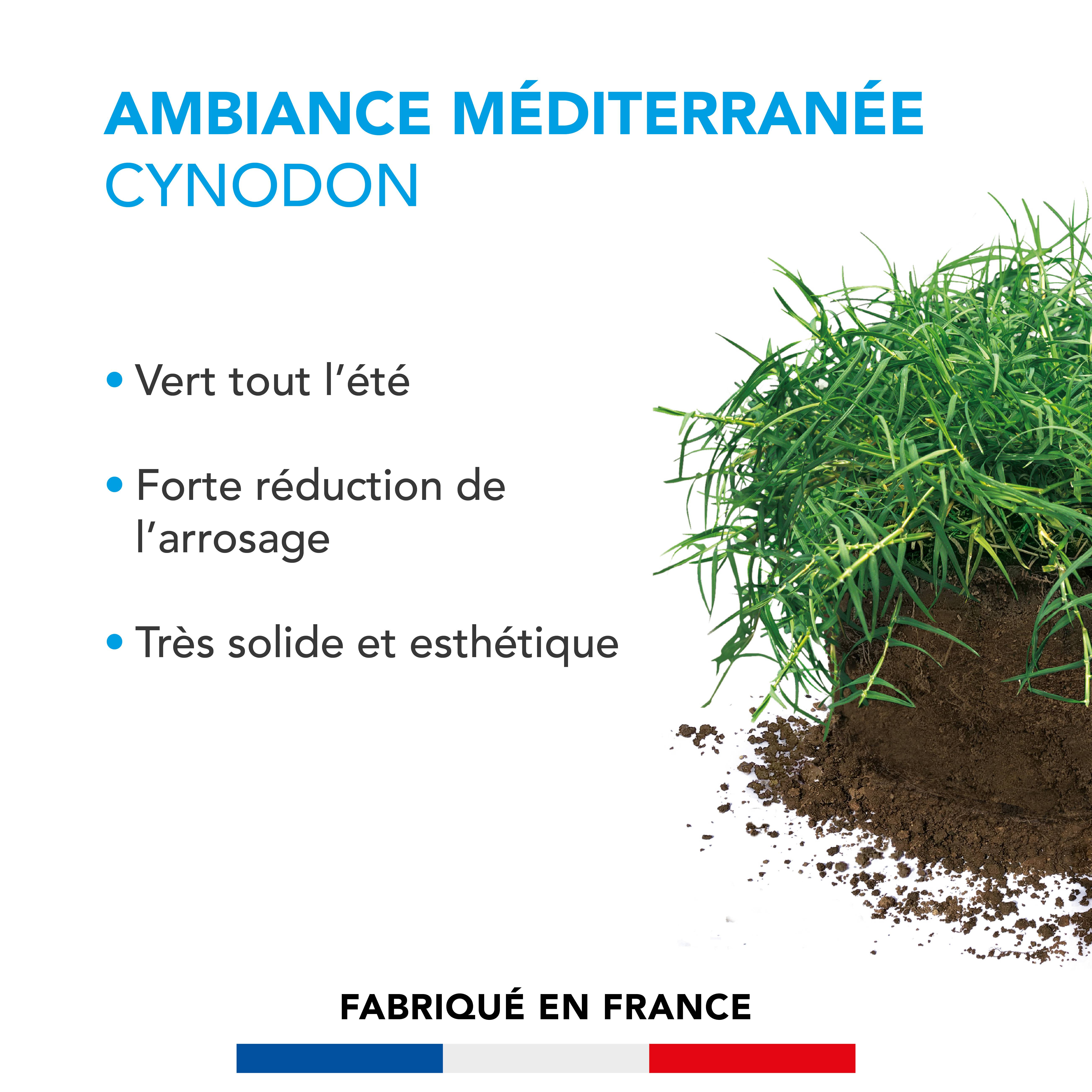 Pelouse Ambiance Méditerranée - Cynodon - Vert Tout l'Été - Forte Réduction de l'Arrosage - Très Solide et Esthétique - 500G - BARENBRUG - Image 2