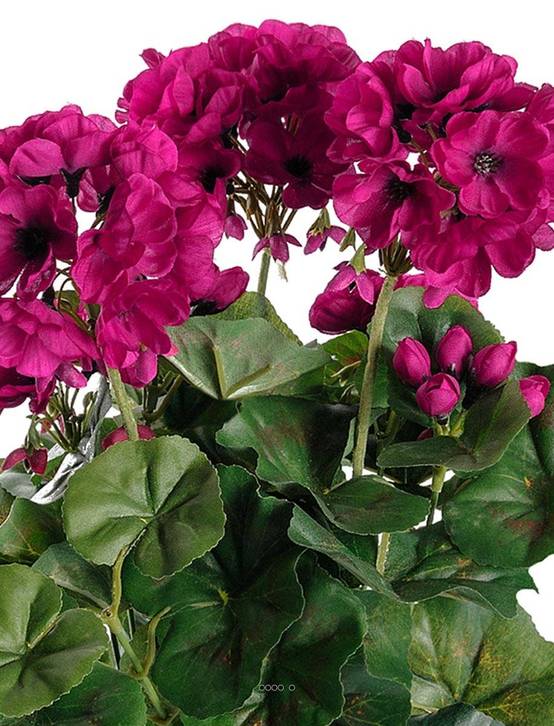 Géranium factice 6 têtes en pot lesté H35cm superbes feuilles Pourpre - couleur: Pourpre - Image 3
