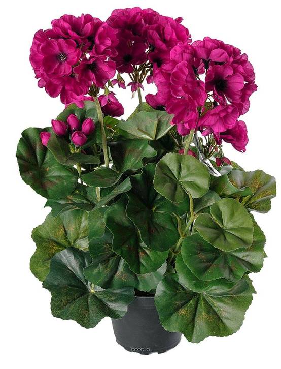 Géranium factice 6 têtes en pot lesté H35cm superbes feuilles Pourpre - couleur: Pourpre - Image 1