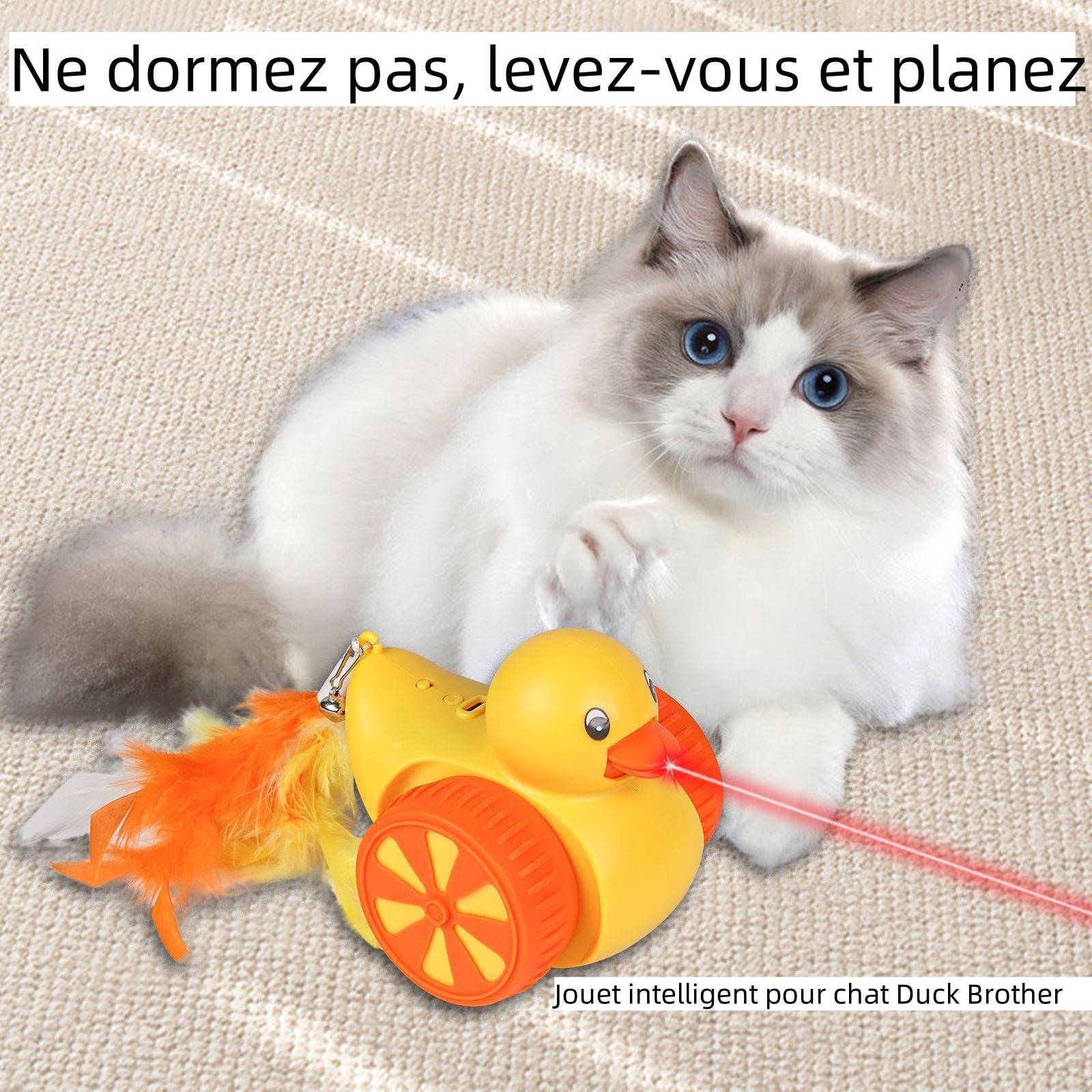 Jouet laser intelligent pour chat et canard DtopbuyAge - Image 3