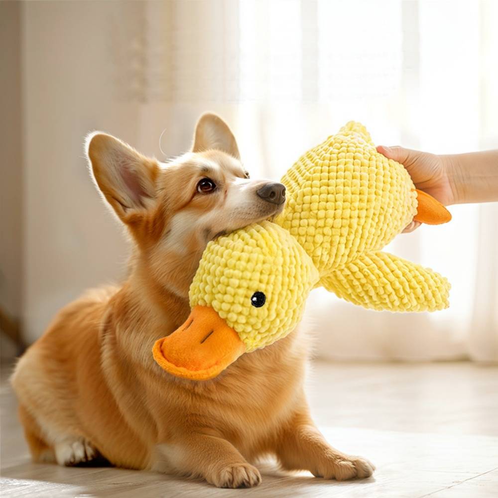 Jouet en peluche de canard pour chiens DtopbuyAge - Image 1
