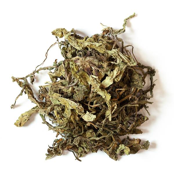 Feuilles de Pissenlit - Friandise pour lapins et rongeurs - 100% naturel - L'Eden des Pattounes