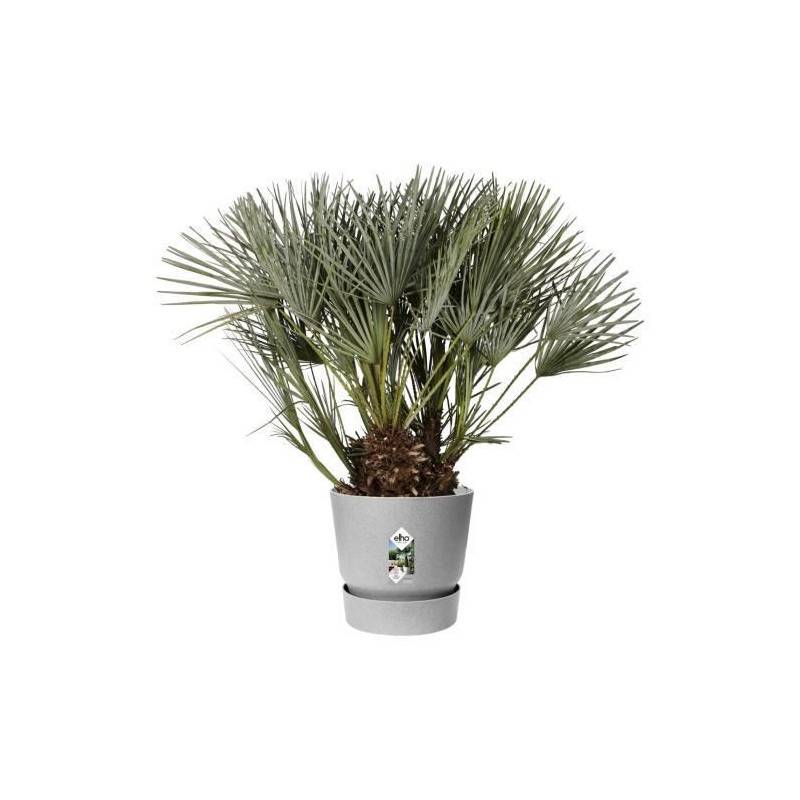 Elho - Elho Pot De Fleurs Rond Greenville 40 - Exterieur - O 39 X H 36,8 Cm - Gris Beton Vivant - Image 3