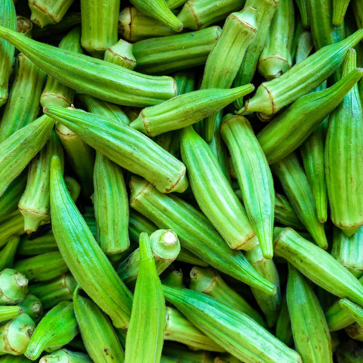 Promesse de Fleurs - Gombo Okra - Abelmoschus esculentus le sachet de 35 graines environ (4g)