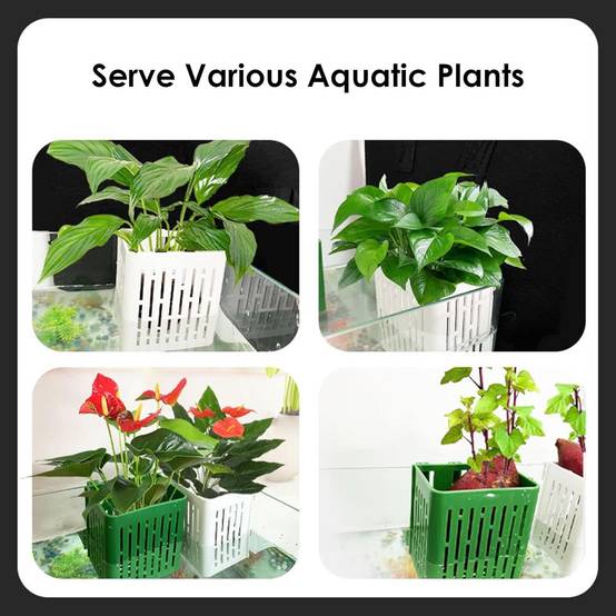 DtopbuyAge - Paniers Aquatiques Réglables pour Plantes DtopbuyAge - Image 3