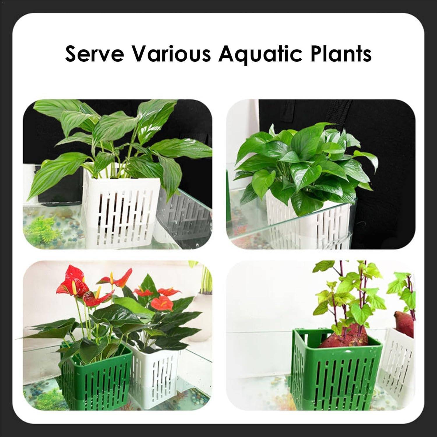 DtopbuyAge - Paniers Aquatiques Réglables pour Plantes DtopbuyAge - Image 3