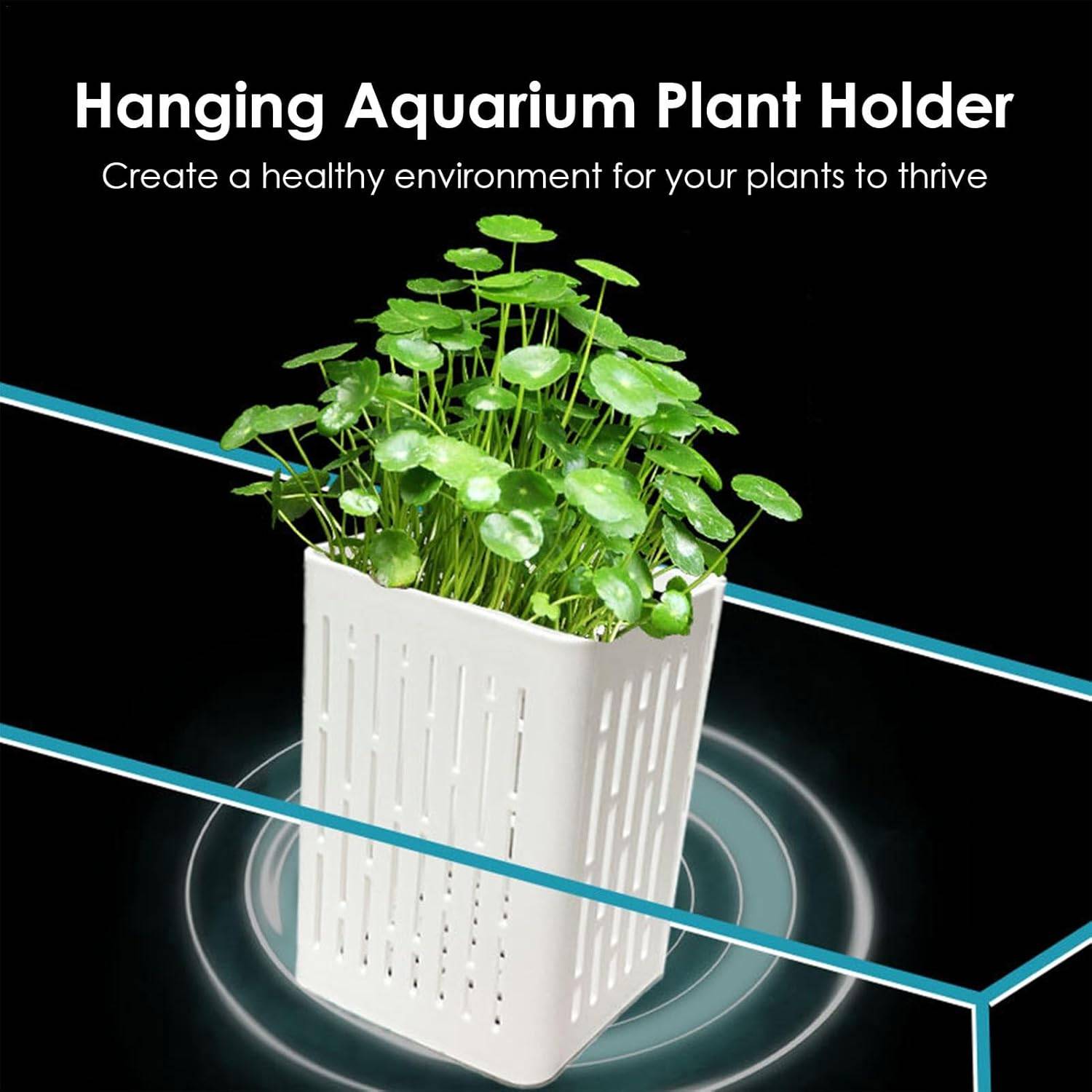 DtopbuyAge - Paniers Aquatiques Réglables pour Plantes DtopbuyAge - Image 2