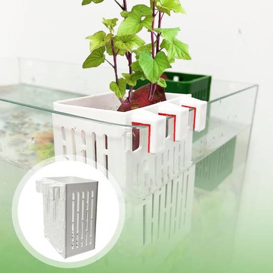 DtopbuyAge - Paniers Aquatiques Réglables pour Plantes DtopbuyAge - Image 4