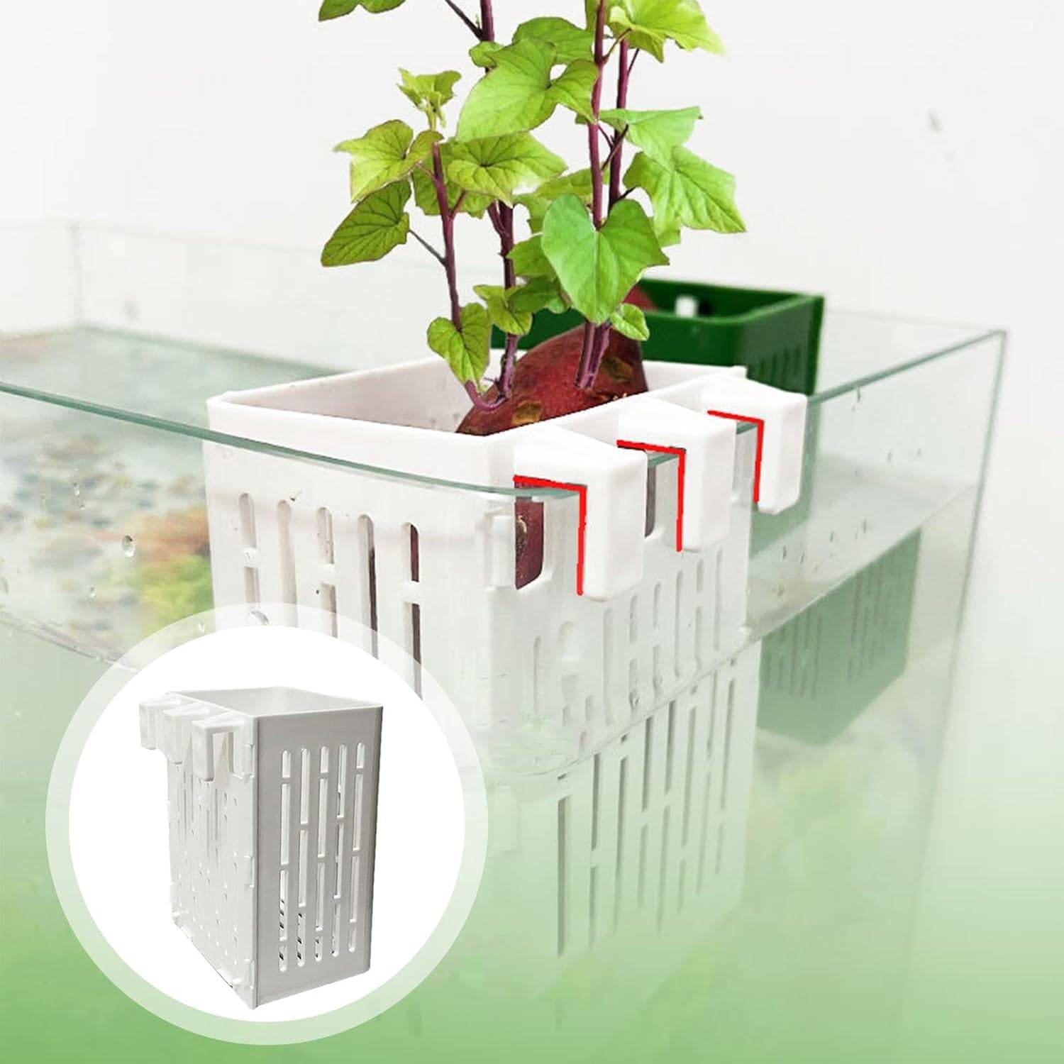 DtopbuyAge - Paniers Aquatiques Réglables pour Plantes DtopbuyAge - Image 4