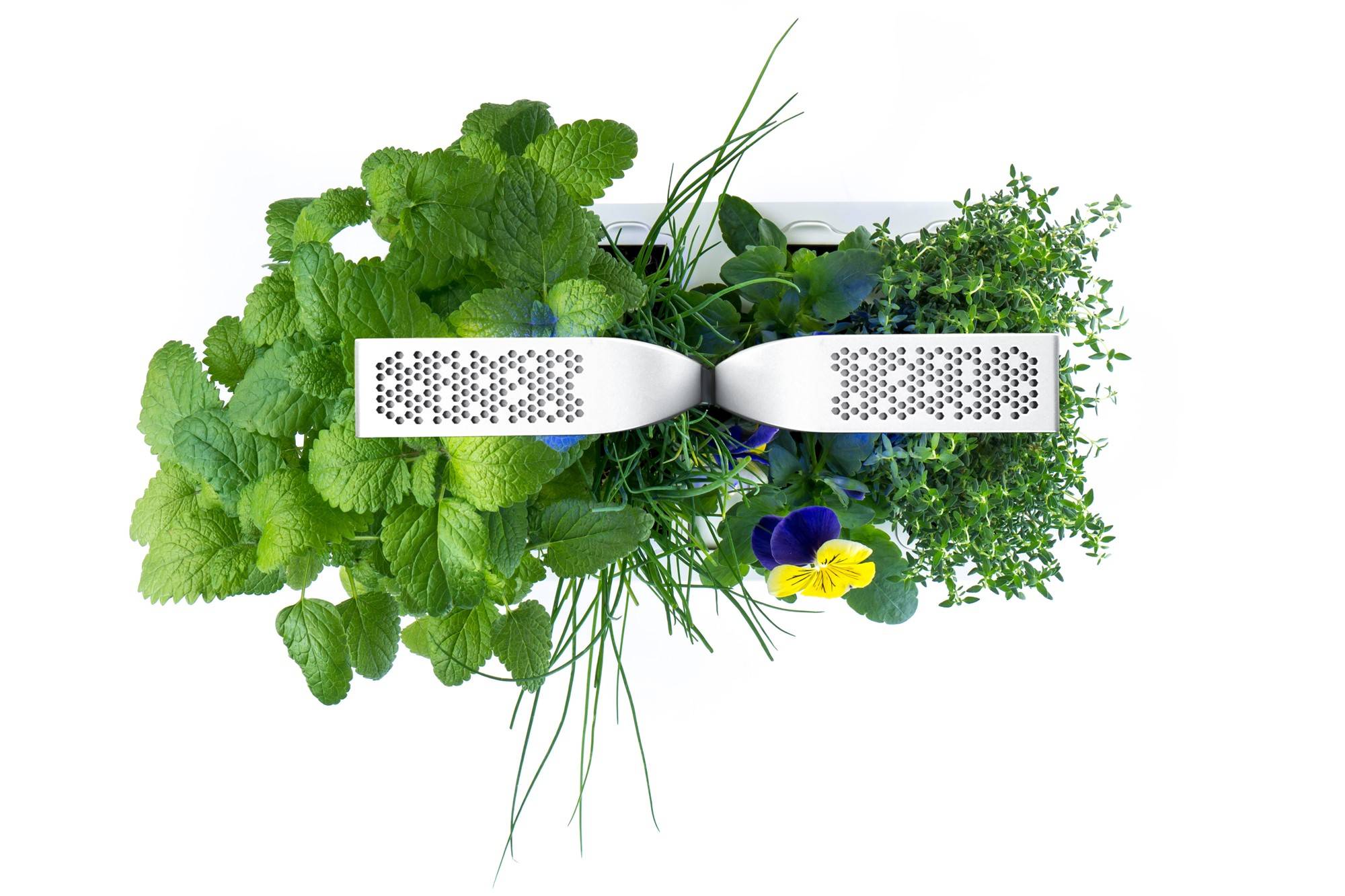 Veritable - Potager d'intérieur Autonome Véritable CLASSIC - Livré avec 4 Lingots - Véritable - Image 3