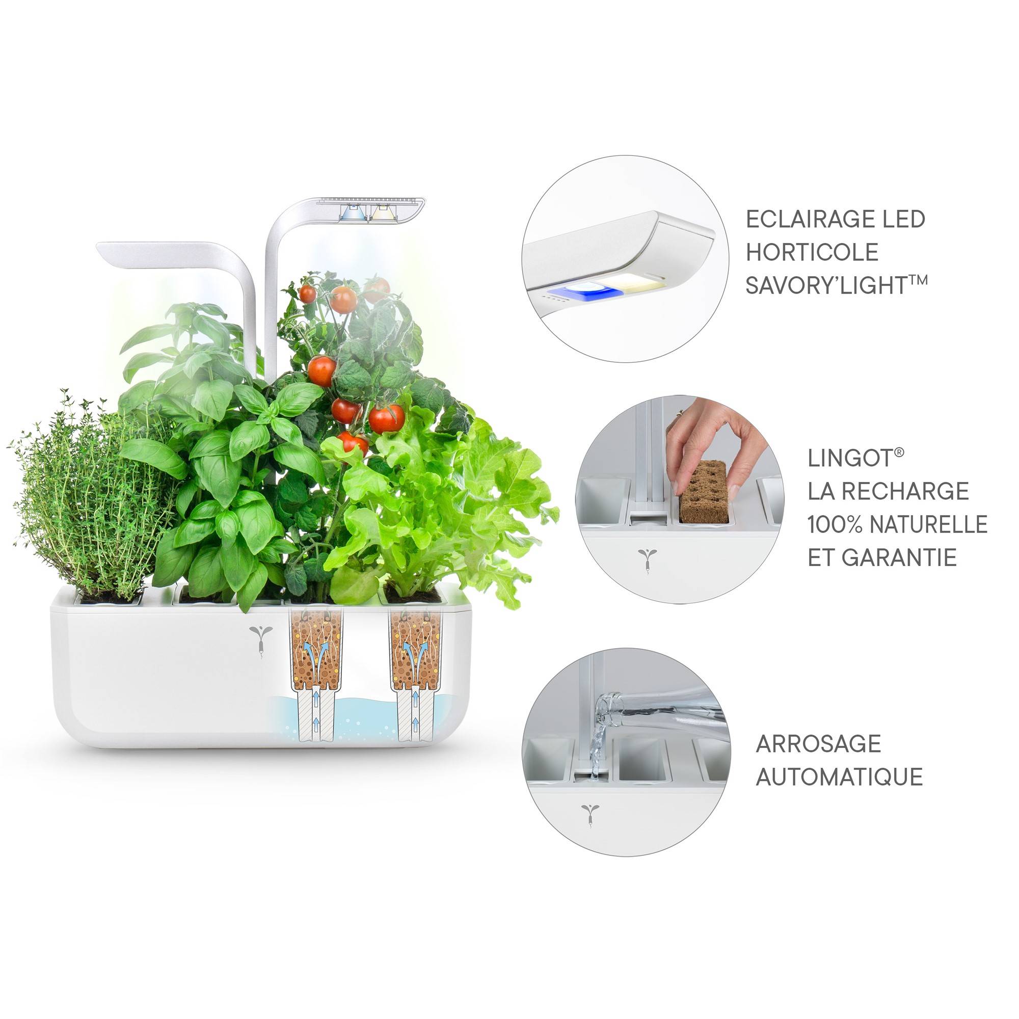 Veritable - Potager d'intérieur Autonome Véritable CLASSIC - Livré avec 4 Lingots - Véritable - Image 5