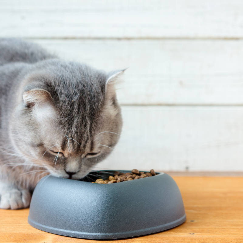Octave Prestige - Croquettes au Poulet pour Chat - Image 2
