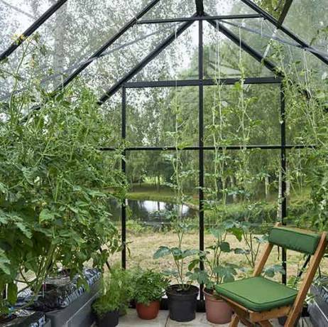 Halls - Serre de jardin Universal en verre horticole avec base 9.9m², Couleur Aluminium - Image 10