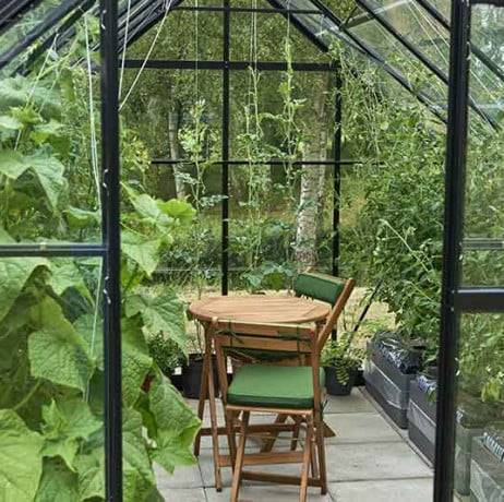 Halls - Serre de jardin Universal en verre horticole avec base 9.9m², Couleur Aluminium - Image 9