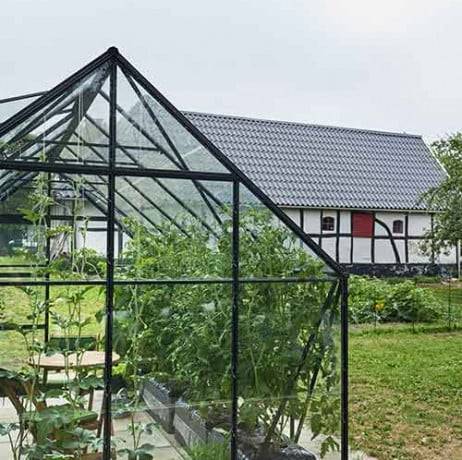 Halls - Serre de jardin Universal en verre horticole avec base 9.9m², Couleur Aluminium - Image 8