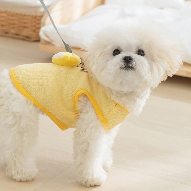 DtopbuyAge - Gilet de traction pour chien et chat DtopbuyAge - Image 4