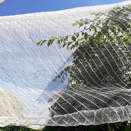 Filet anti oiseaux / grêle 3x10 m - Image 3