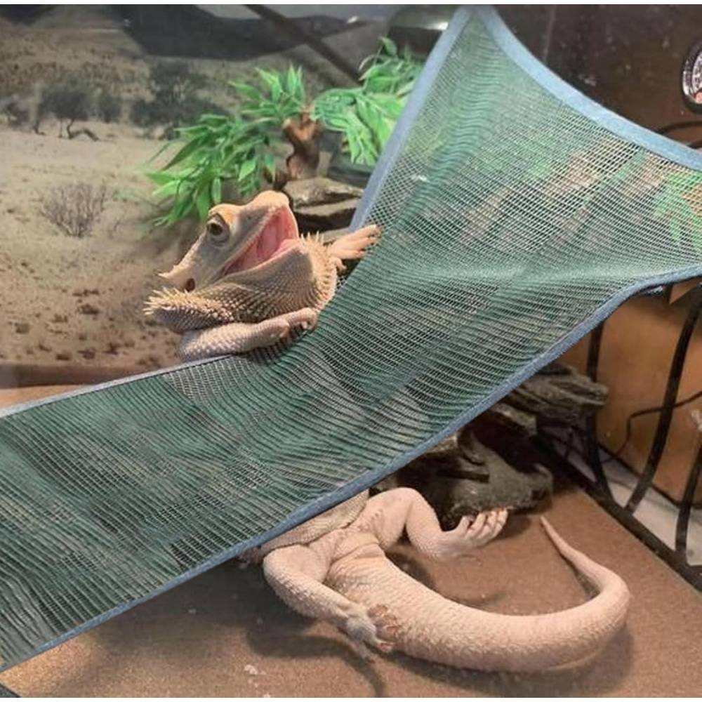 Hamacs pour reptiles DtopbuyAge - Image 2