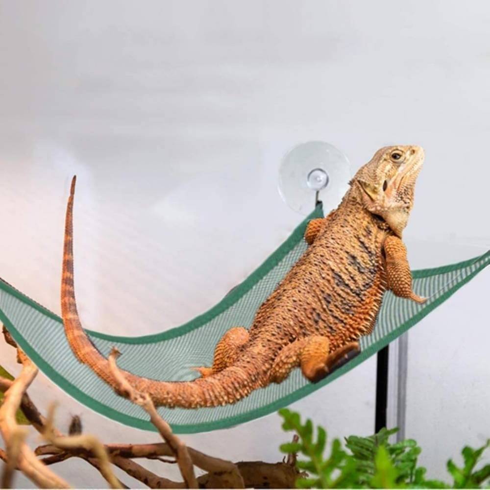Hamacs pour reptiles DtopbuyAge - Image 4