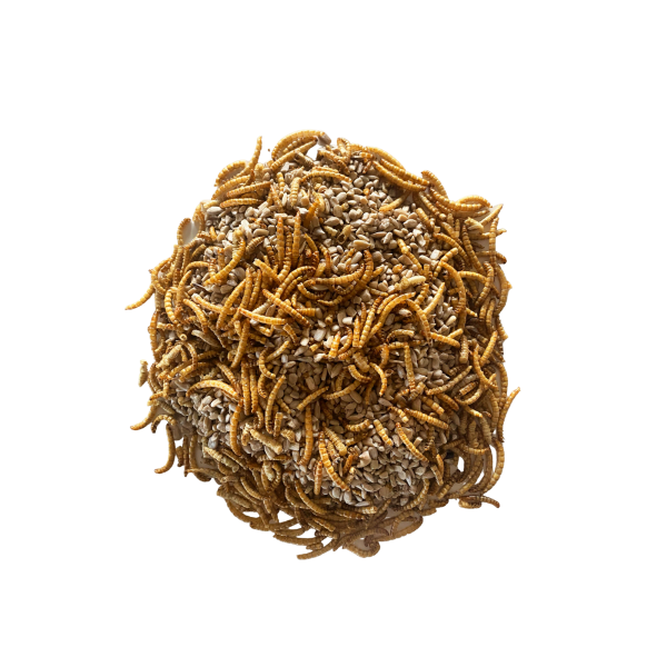 Mélange de vers de farine et de tournesol décortiqué pour oiseaux 250g - Invers - Image 2