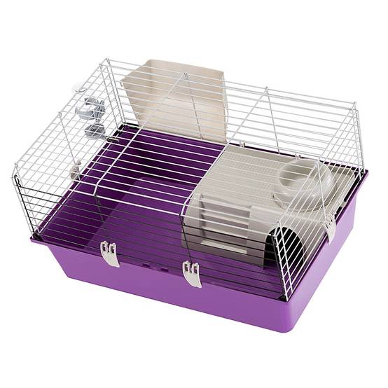 Ferplast - FERPLAST Cage pour Rongeurs GUINEA 70 pour Cochons d'Inde, Cochons d'Inde, en Métal, Accessoires inclus : Mangeoire, Abreuvoir, Maison, Gamelle. - Image 5