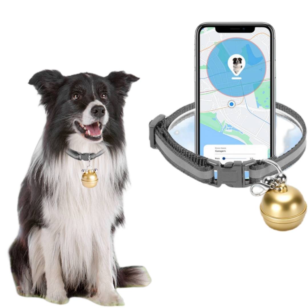 Traceur GPS pour chien,preuve de l'eau MCBOSON - Image 1