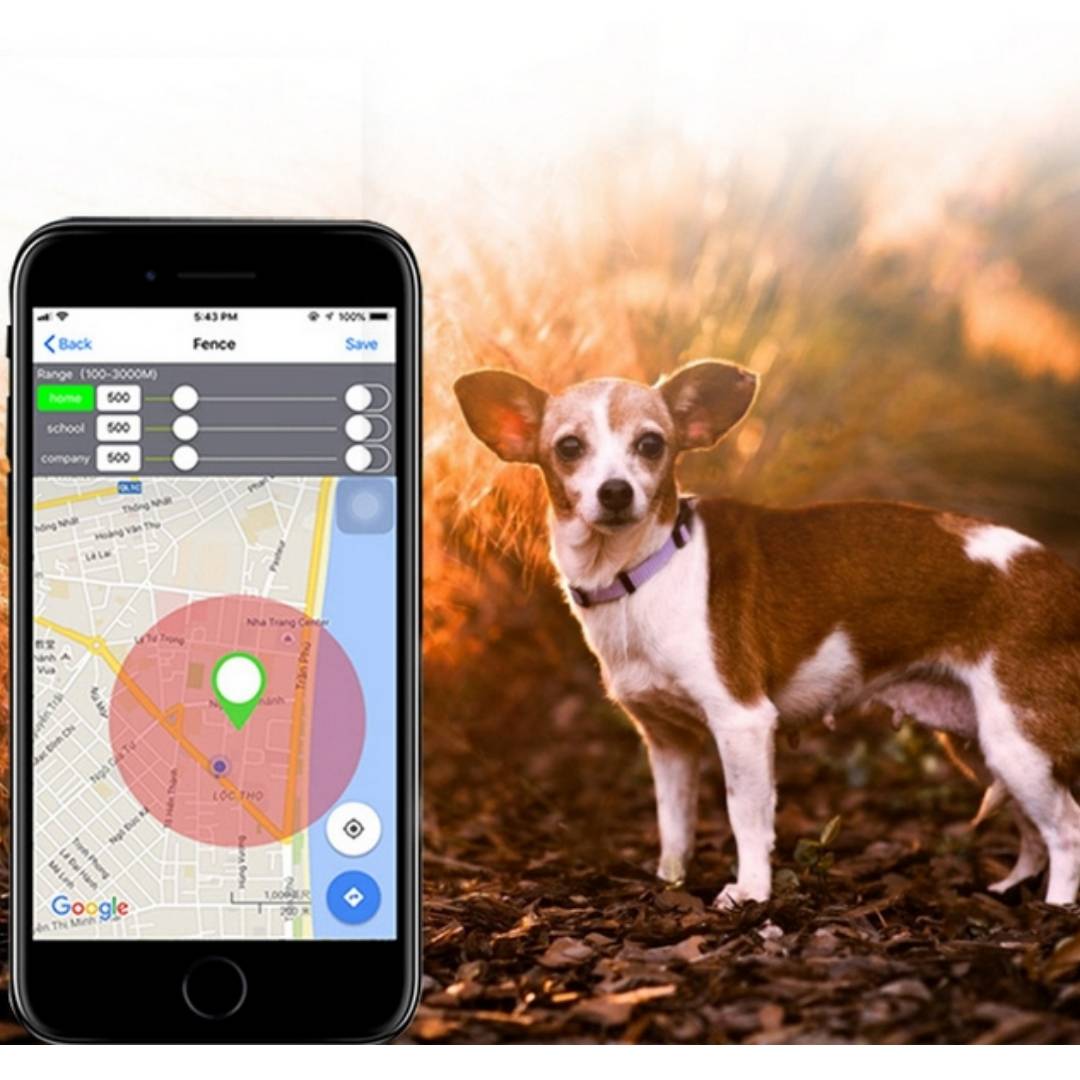 Traceur GPS pour chien,preuve de l'eau MCBOSON - Image 3