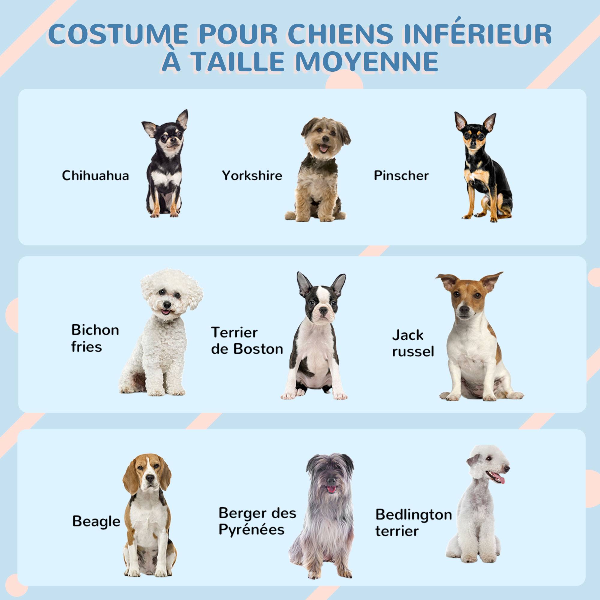 Niche pour chien chenil à l'extérieur en PP blanc pour chiens de petite et moyenne taille - 65 x 75,7 x 63 cm - Image 9