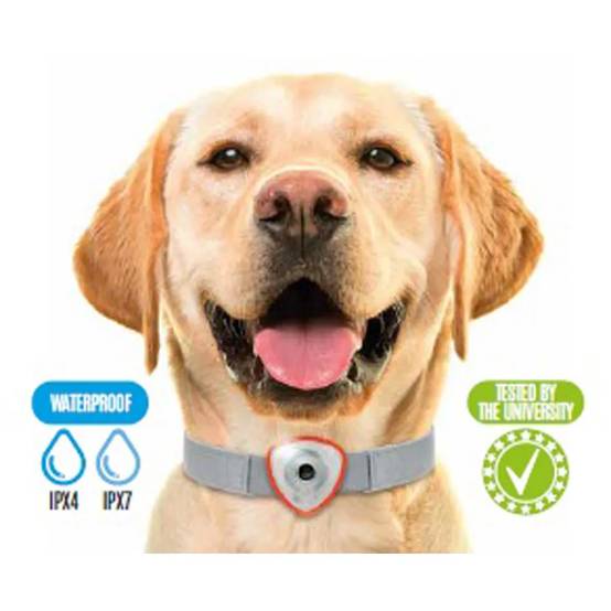 Autre - Répulsif électronique anti tiques et puces pour chien et chats orange - Image 5