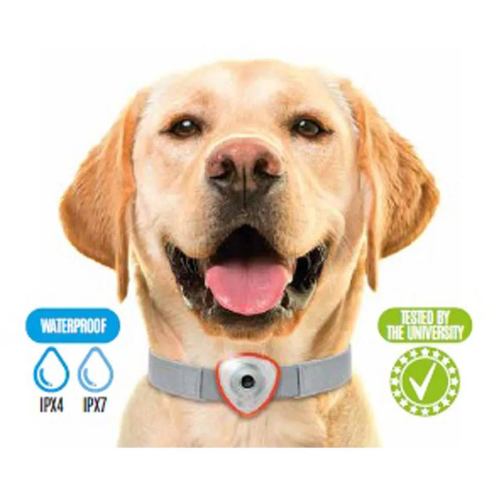 Autre - Répulsif électronique anti tiques et puces pour chien et chats orange - Image 5