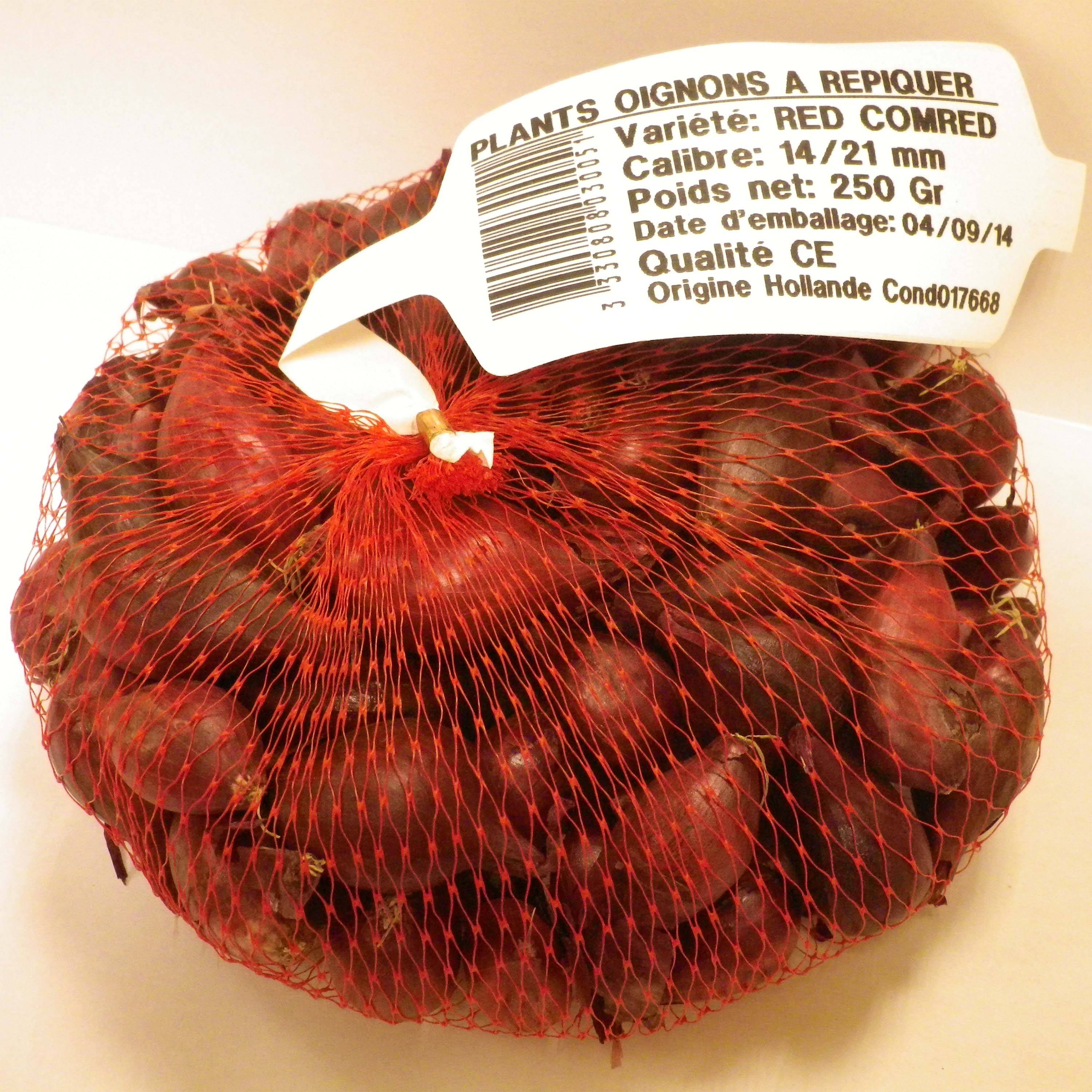 Promesse de Fleurs - Oignon rouge Red Karmen en plants (plantation automne) Pièce calibre 14/21 mm, Sac de 250g