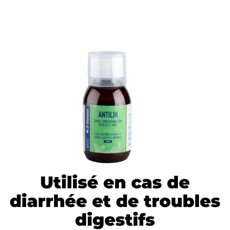 Antilik utilisées en cas de diarrhée et de troubles digestifs - Cot Cot House