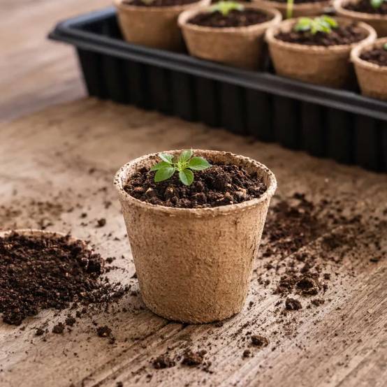 Lot de 60 Pots Biodégradables Ronds Ø6cm pour Semis et Culture - Image 1