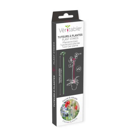 Veritable - Kits 12 tuteurs en fibre de verre (18 à 36 cm) - Véritable - Image 2
