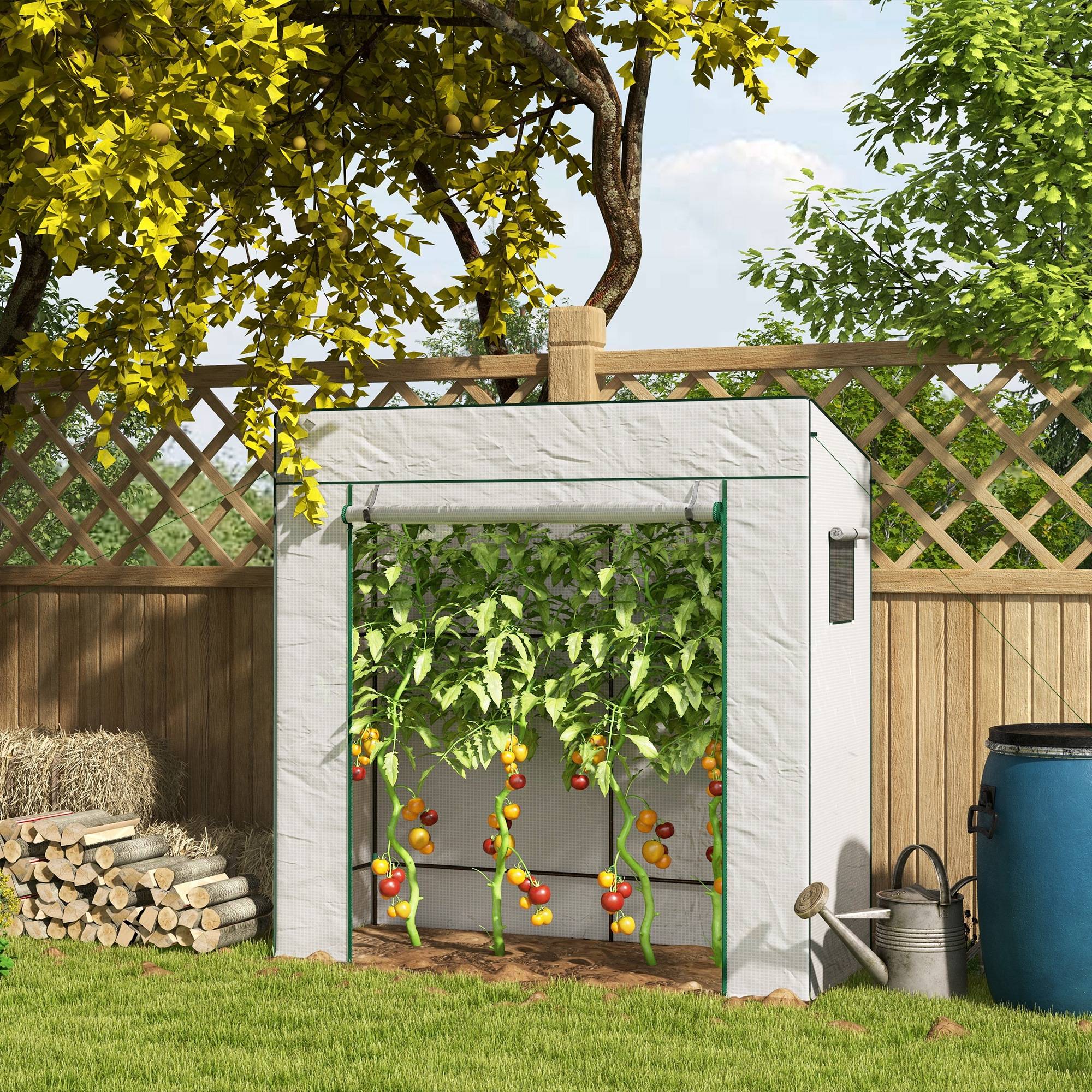 Sans Marque - Serre de jardin murale adossée avec 1 porte enroulable, bâche PE renforcée, 2 fenêtres, dim. 196L x 77l x 197/178H cm - Image 4