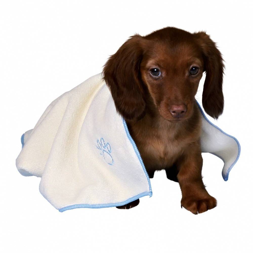 Trixie - Trixie - Set pour chiots bleu - Image 2